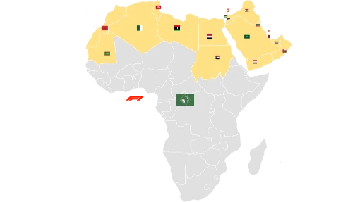 Arabvärlden och Afrika
